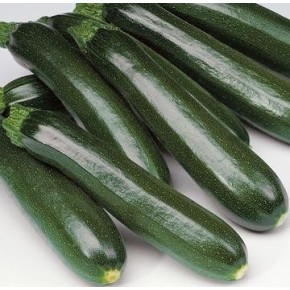 Courgette Verte