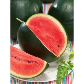 Melon d'Eau (Sugar Baby)