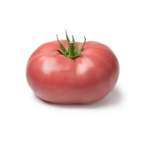 Tomate beef rose (déterminé)