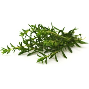 Sarriette d'Été