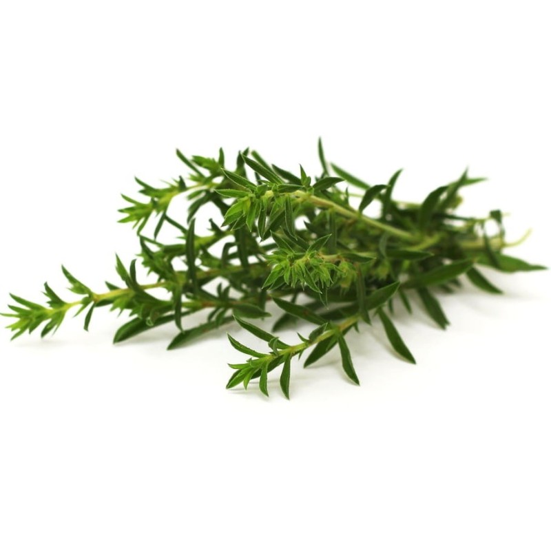 Sarriette d'Été