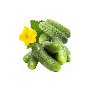 Cornichon