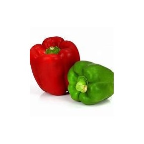 Poivron DOUX Rouge