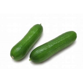 Concombre mini libanais