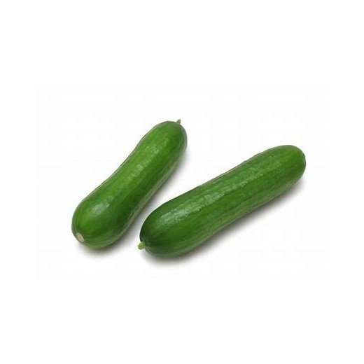 Concombre mini libanais