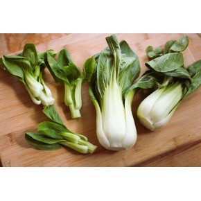 Bok Choy