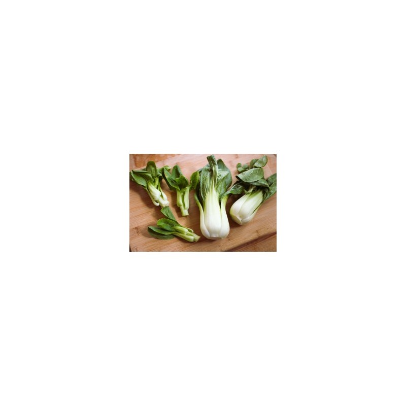 Bok Choy