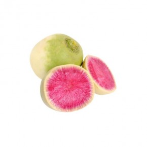 Radis Melon