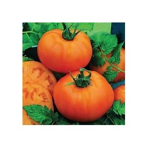 Beef Orange (déterminé)