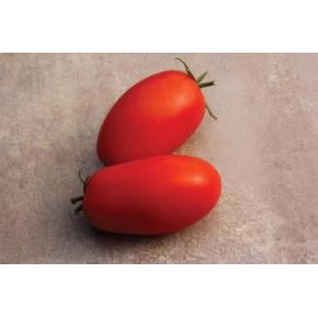 Tomate Italienne (déterminé)