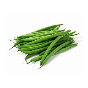 Haricot Vert nain