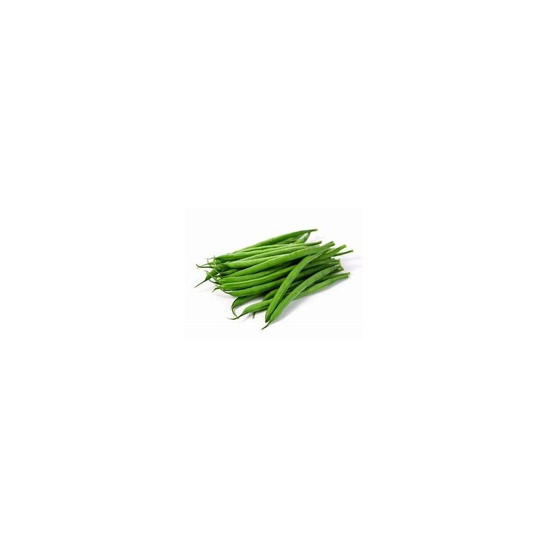 Haricot Vert nain