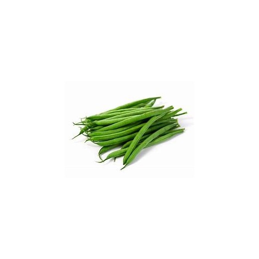 Haricot Vert nain