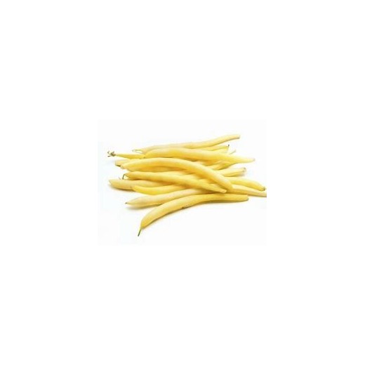 Haricot Jaune nain