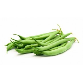 Haricot vert nain Jade