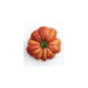 Tomate Mémé de Beauce (beef rouge ancestrale -indéterminé)