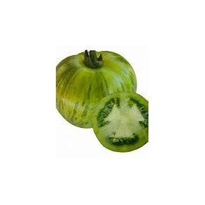 Tomate Verte (indéterminée)