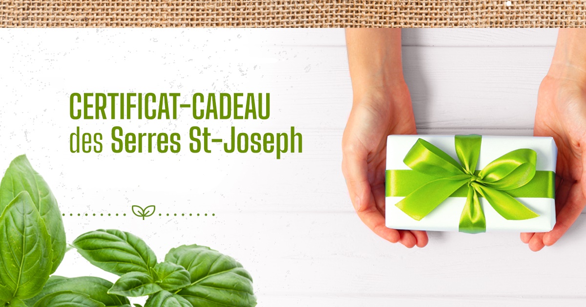 Carte postale certificat cadeau_1.jpg
